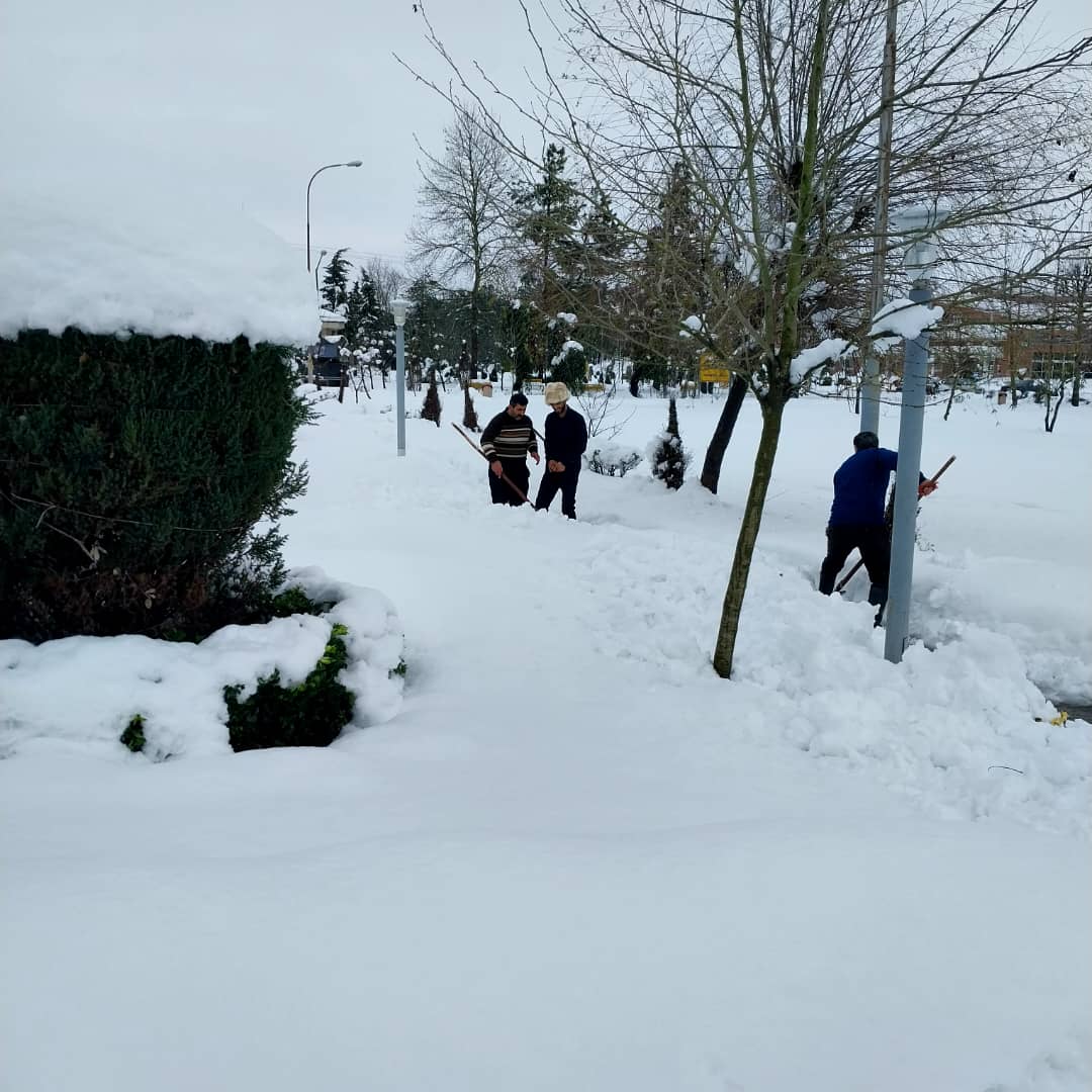 تصویر کوچک