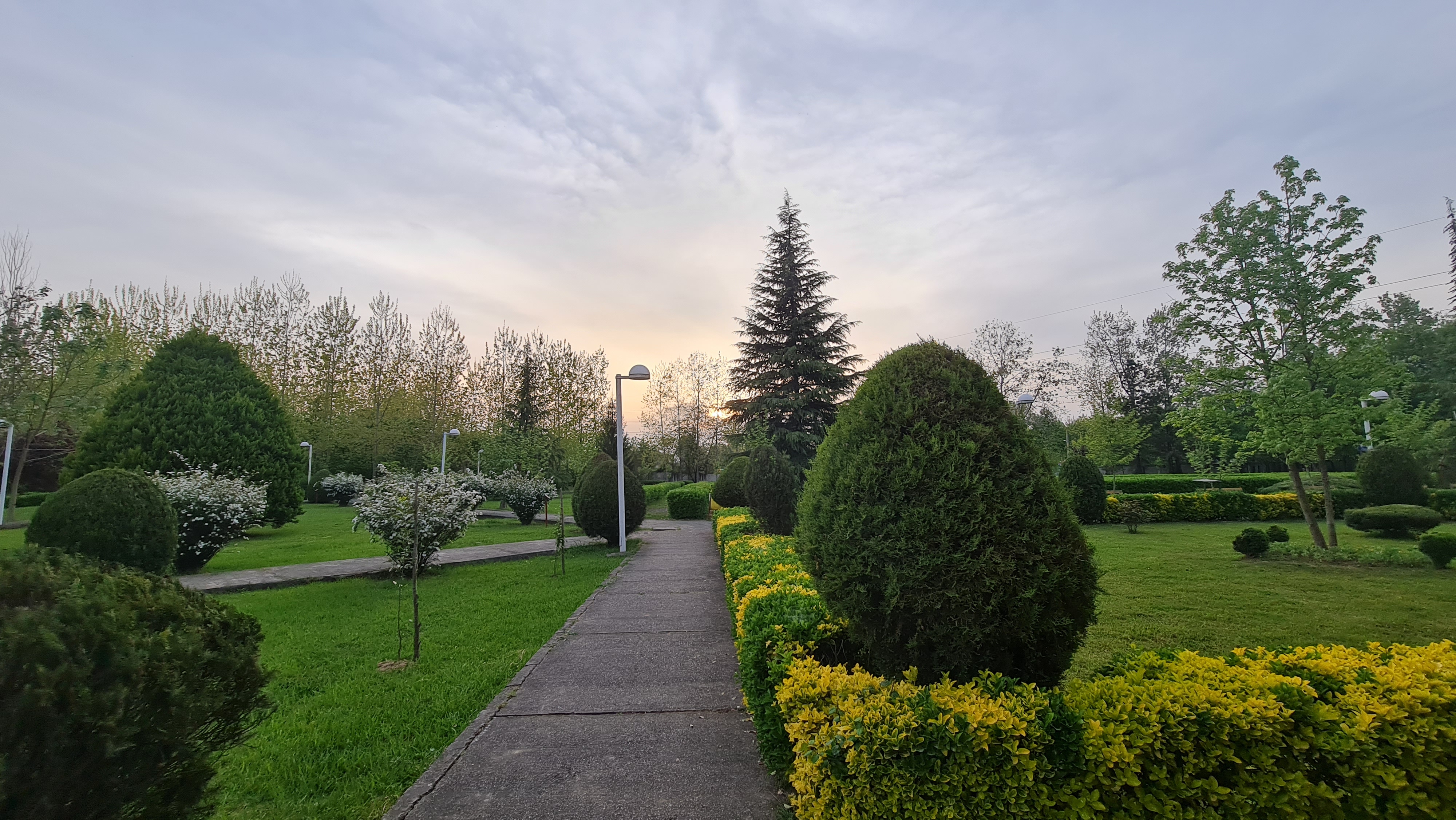 تصویر کوچک